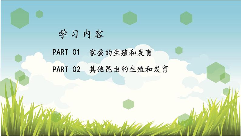 7.1.2昆虫的生殖和发育 课件+素材03