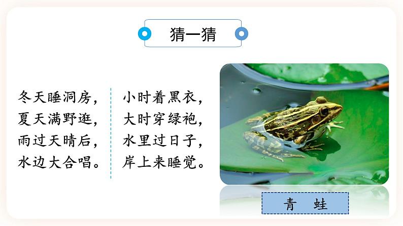 7.1.3两栖动物的生殖和发育 课件第1页