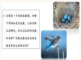 7.1.4鸟的生殖和发育 课件+素材