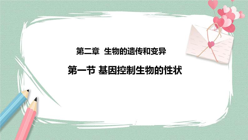 7.2.1基因控制生物的性状 课件+素材02