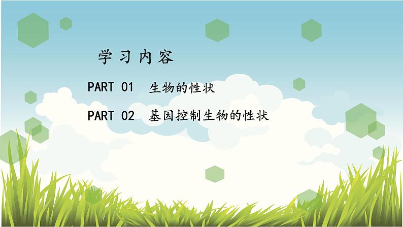 7.2.1基因控制生物的性状 课件+素材03