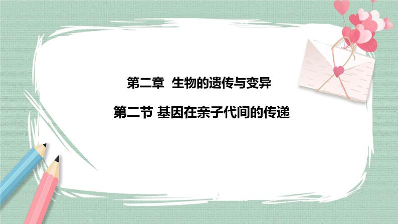 7.2.2基因在亲子代间的传递 课件第2页