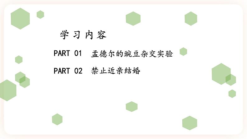 7.2.3基因的显性和隐性 课件+素材04