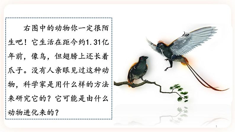 7.3.2生物进化的历程 课件+素材01