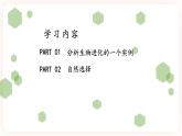 7.3.3生物进化的原因  课件+素材