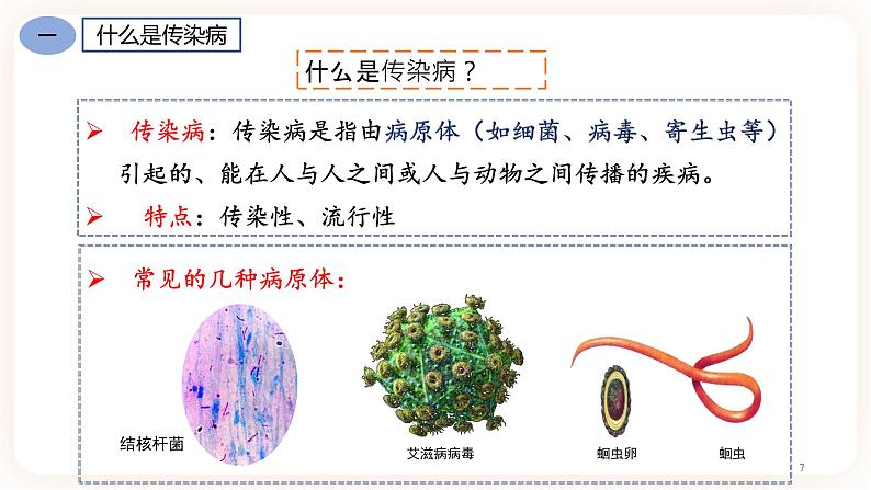 8.1.1传染病及其预防 课件07