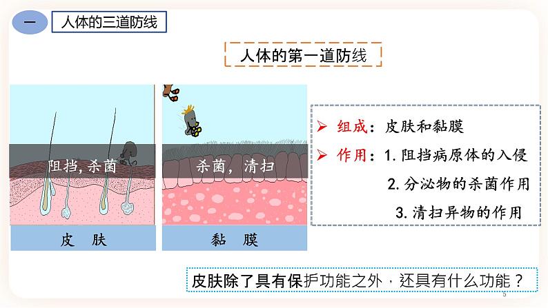 8.1.2免疫与计划免疫  课件+素材05