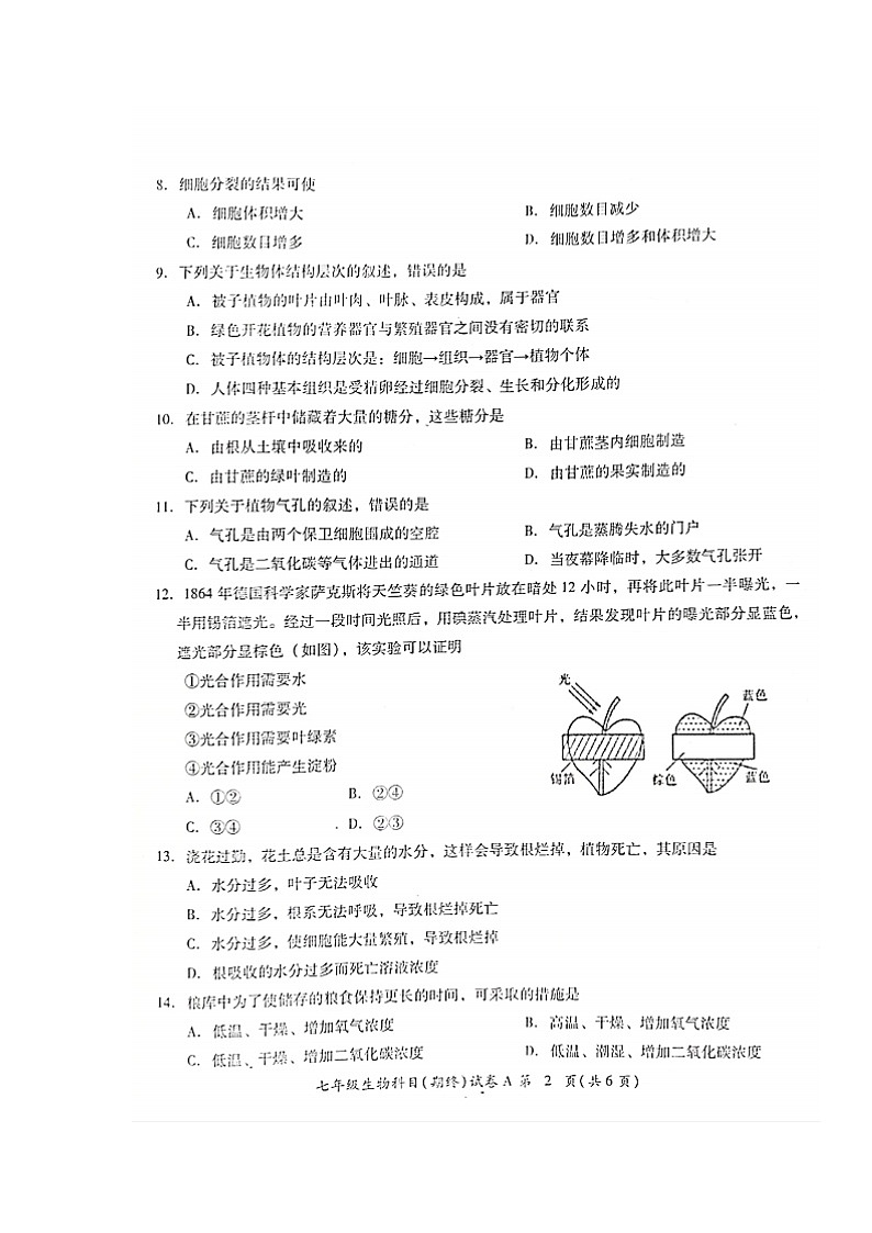 广东省揭阳市榕城区2021-2022学年七年级上学期期末考试生物试题（含答案）02