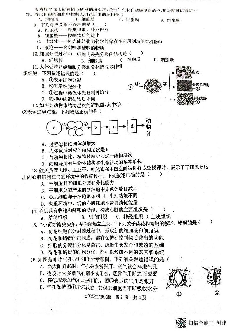山东省枣庄市薛城区2022-2023学年七年级上学期期中考试生物试题第2页