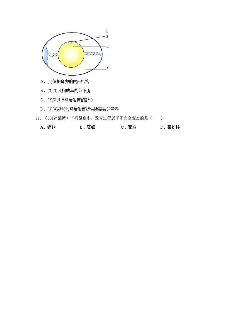 五年山东中考生物真题分类汇编---动物的生殖和发育03