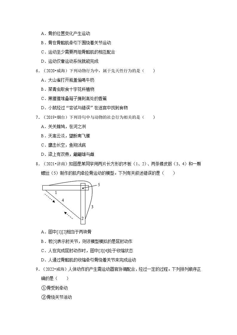 五年山东中考生物真题分类汇编---动物运动与动物行为第2页