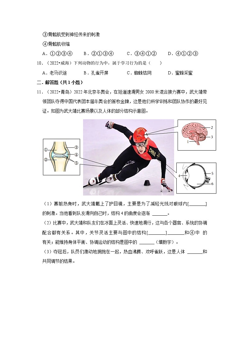 五年山东中考生物真题分类汇编---动物运动与动物行为第3页