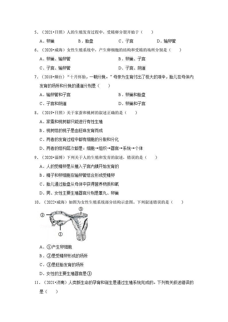 五年山东中考生物真题分类汇编---人的生殖和发育02