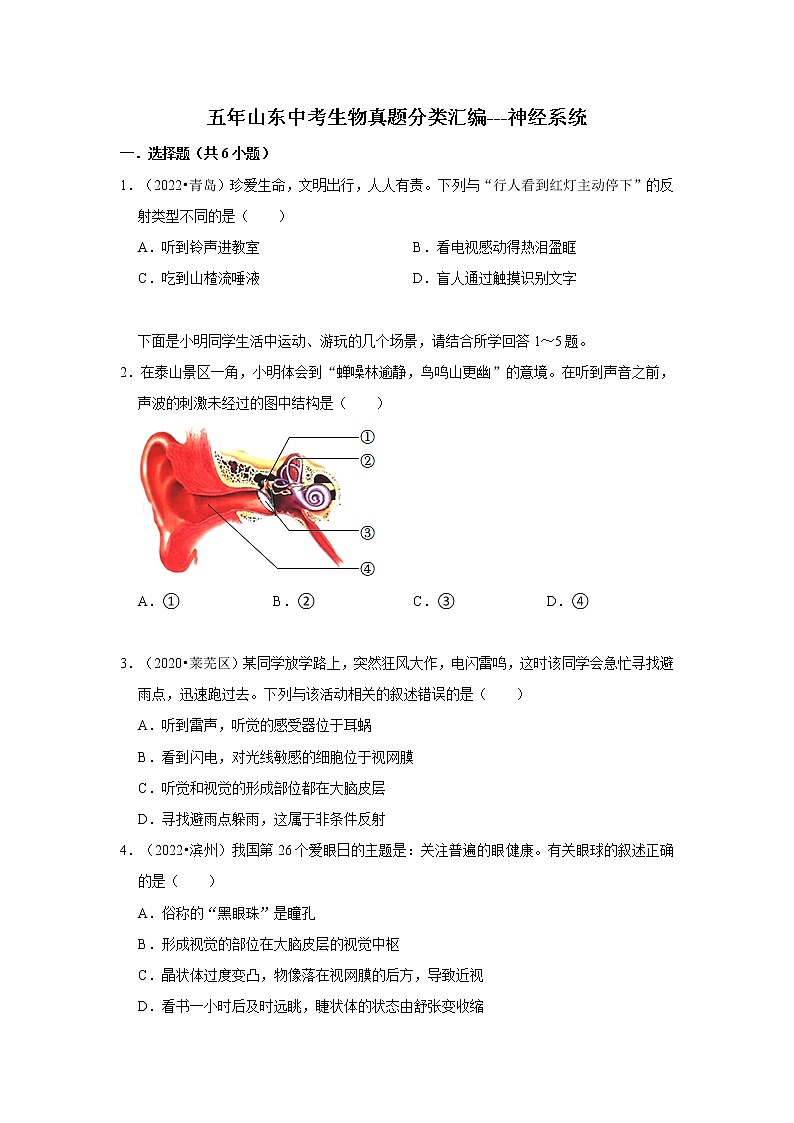 五年山东中考生物真题分类汇编---神经系统01