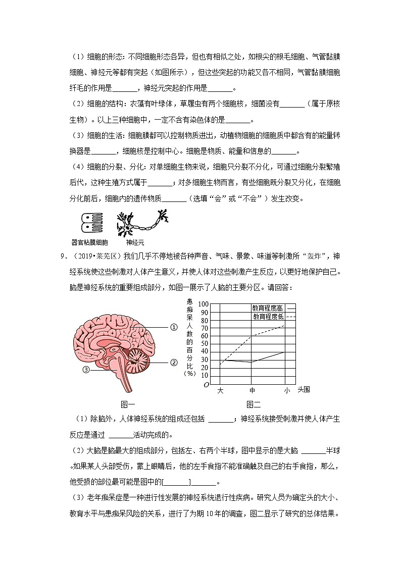 五年山东中考生物真题分类汇编---神经系统03
