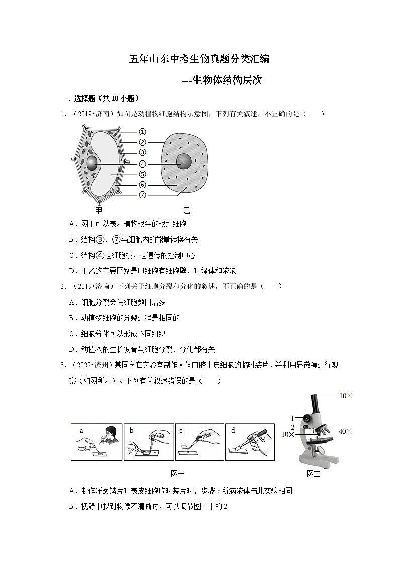 五年山东中考生物真题分类汇编---生物体结构层次01
