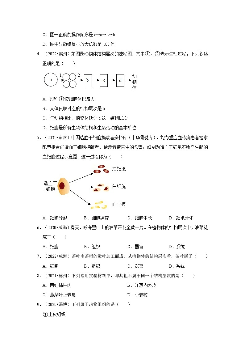 五年山东中考生物真题分类汇编---生物体结构层次02
