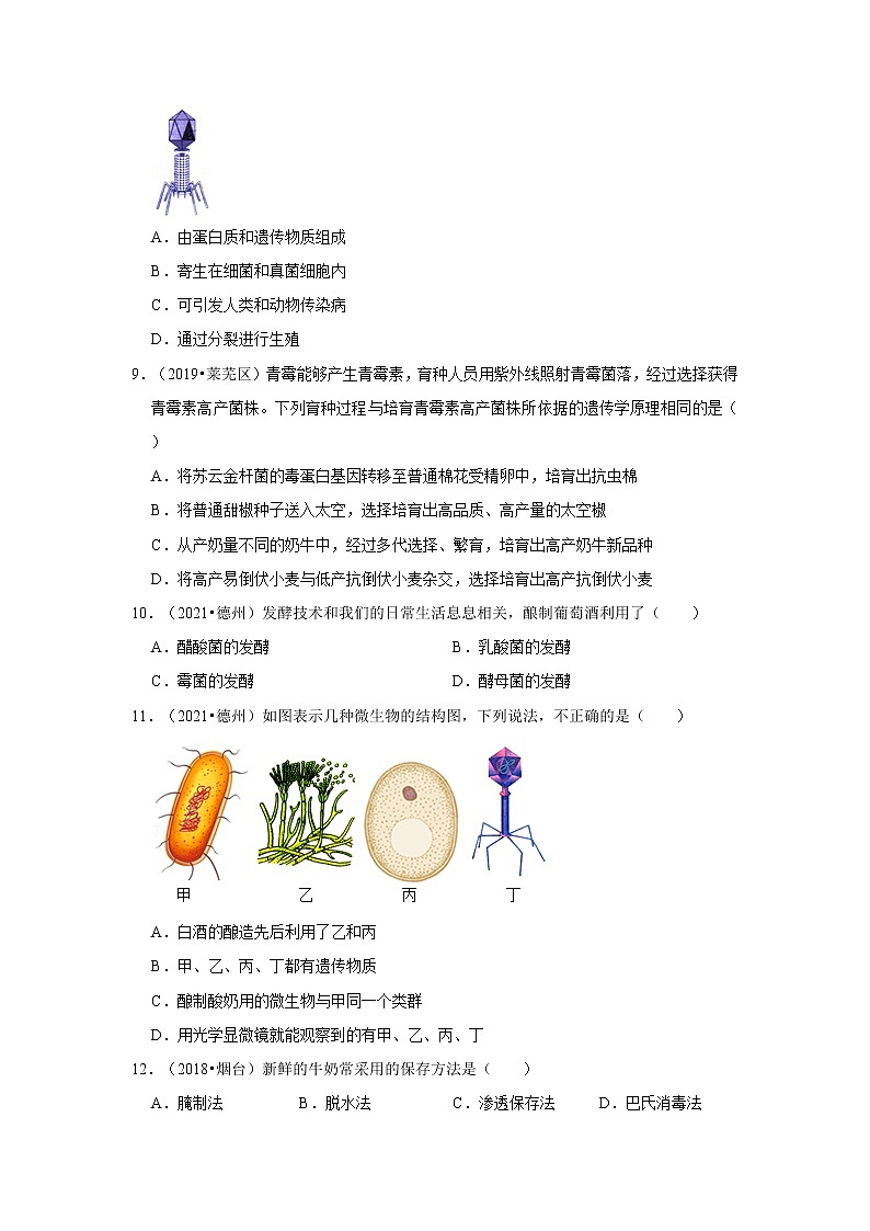 五年山东中考生物真题分类汇编---细菌、真菌、病毒第3页