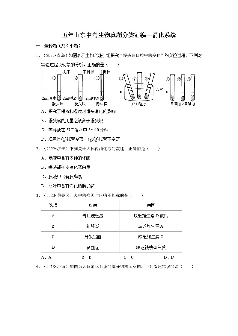 五年山东中考生物真题分类汇编---消化系统01