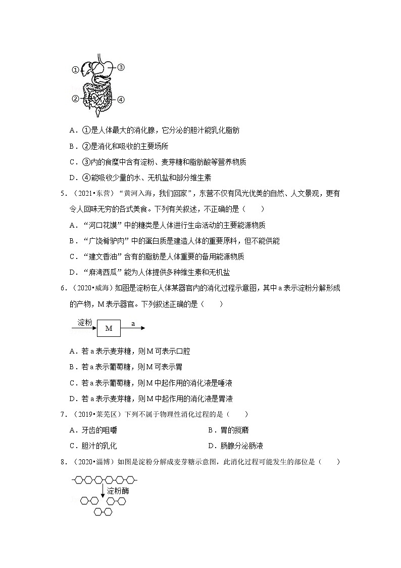 五年山东中考生物真题分类汇编---消化系统02