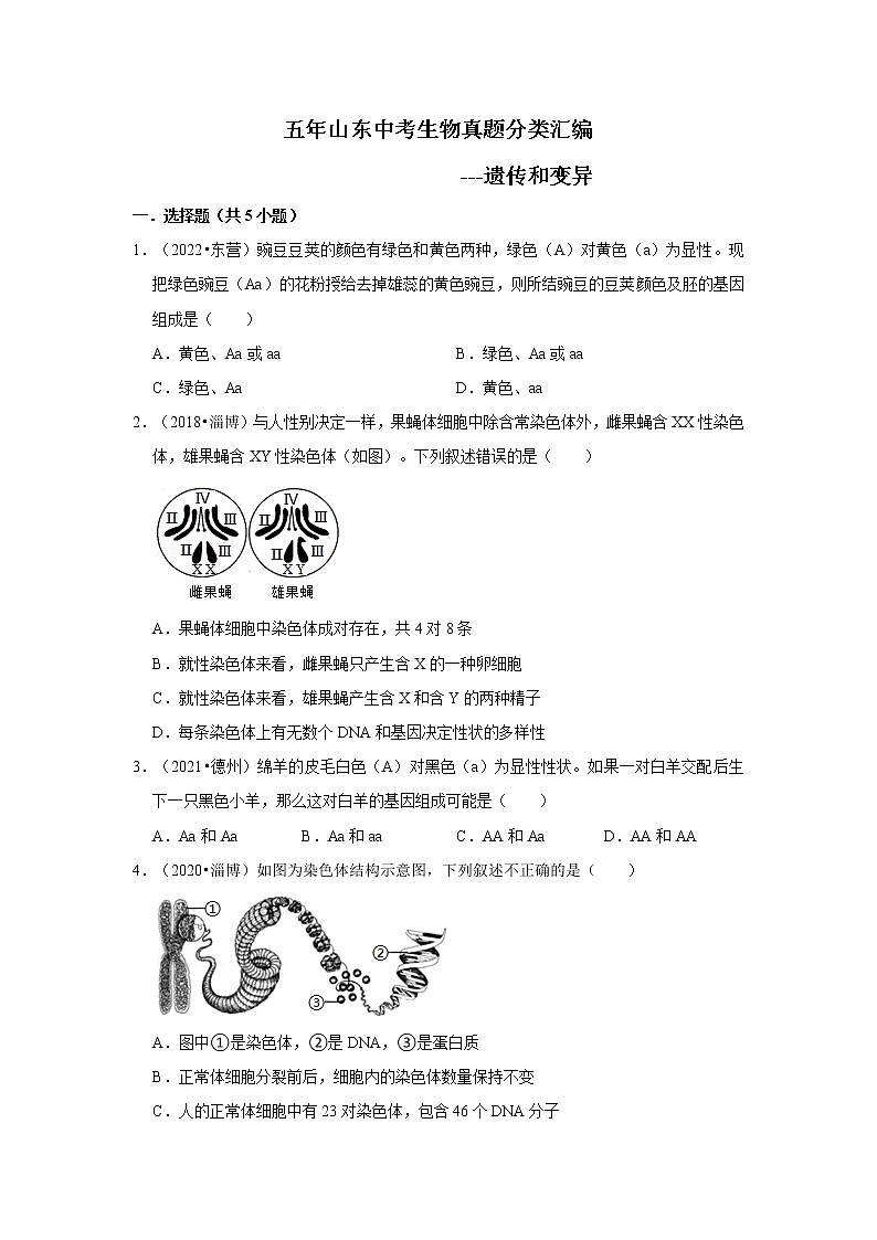五年山东中考生物真题分类汇编---遗传和变异01