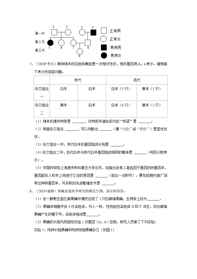 五年山东中考生物真题分类汇编---遗传和变异03