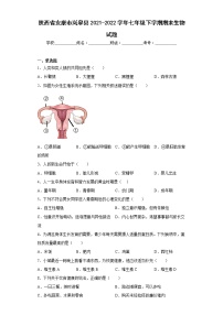 陕西省安康市岚皋县2021-2022学年七年级下学期期末生物试题(含答案)