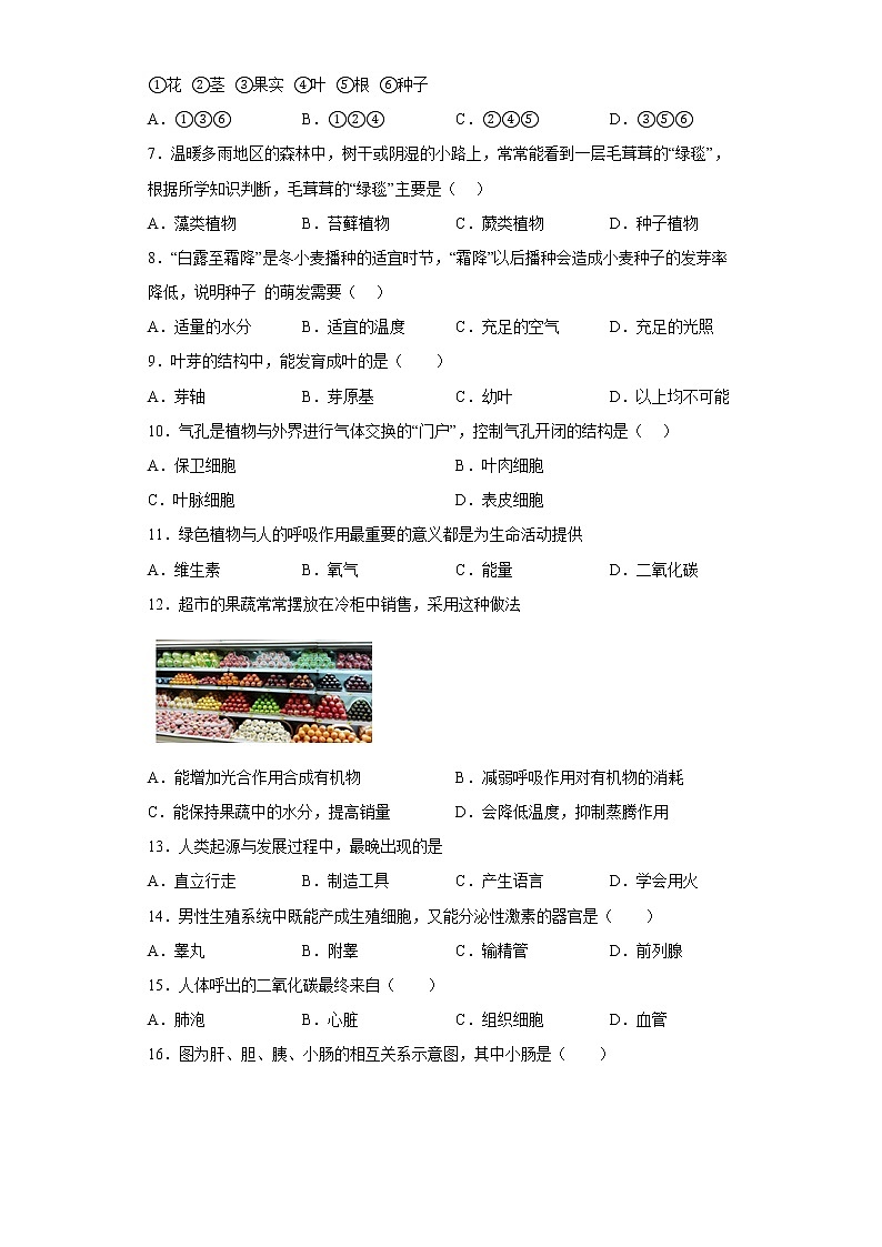 云南省楚雄州双柏县2021-2022学年七年级下学期期末生物试题(含答案)02