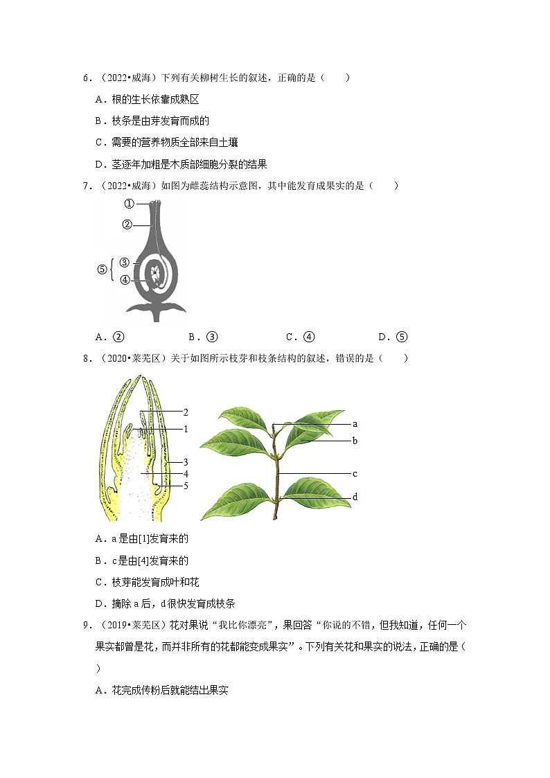 五年山东中考生物真题分类汇编---被子植物的一生02