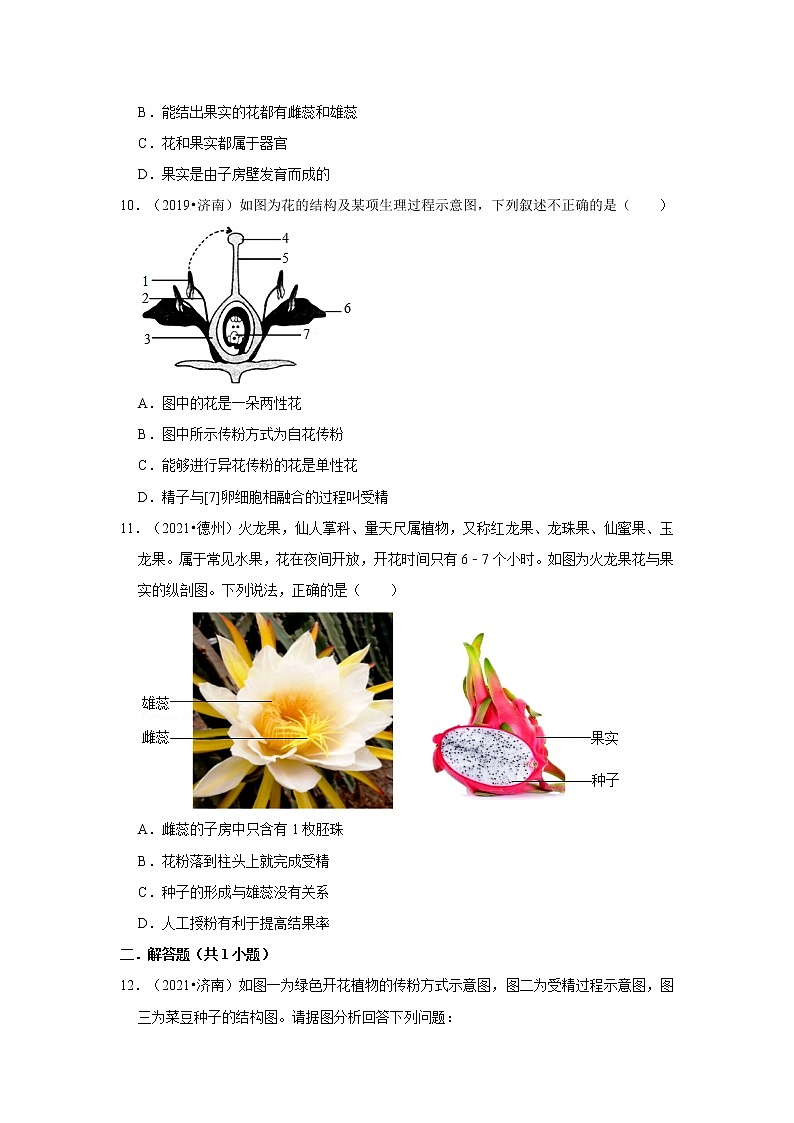 五年山东中考生物真题分类汇编---被子植物的一生03