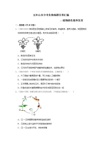 五年山东中考生物真题分类汇编---植物的生殖和发育