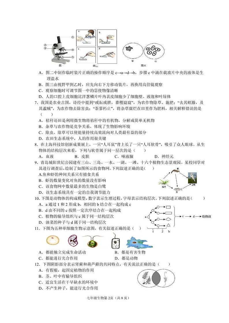 山东省青岛市市南区2-22-2023学年七年级上学期期末生物试题02