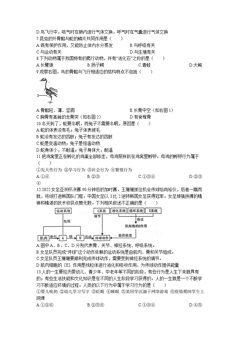 广西贺州市平桂区2022-2023学年八年级上学期期末生物试题02