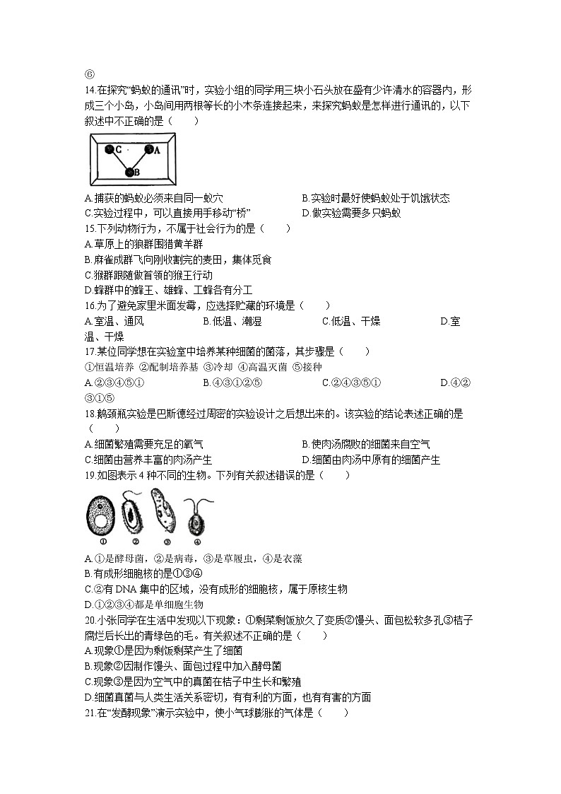 广西贺州市平桂区2022-2023学年八年级上学期期末生物试题03
