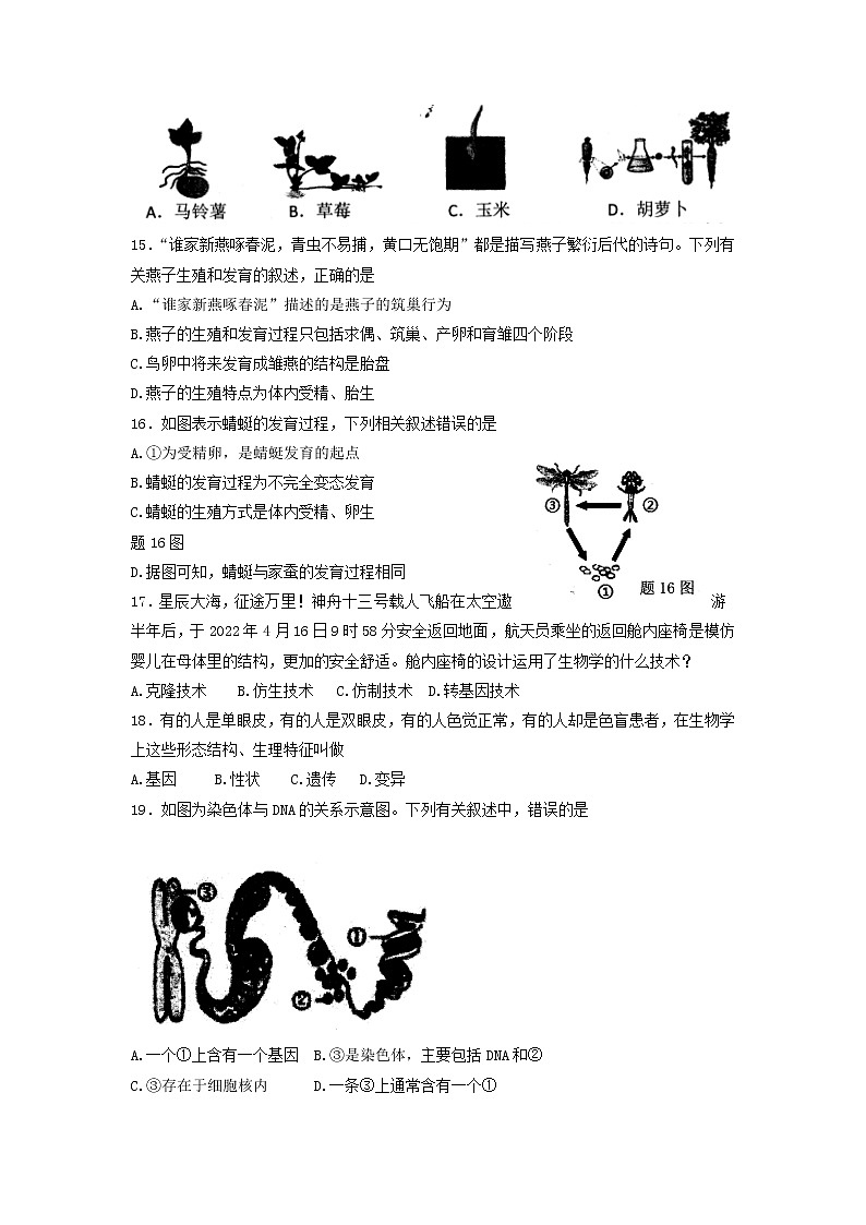 广东省阳江市江城区2022-2023学年八年级上学期期末质量监测生物试题（有答案）03