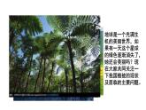 第六章 爱护植被，绿化祖国课件PPT