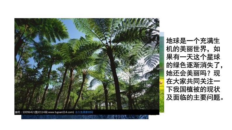 第六章 爱护植被，绿化祖国课件PPT第2页