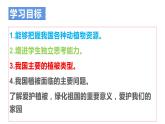 第六章 爱护植被，绿化祖国课件PPT