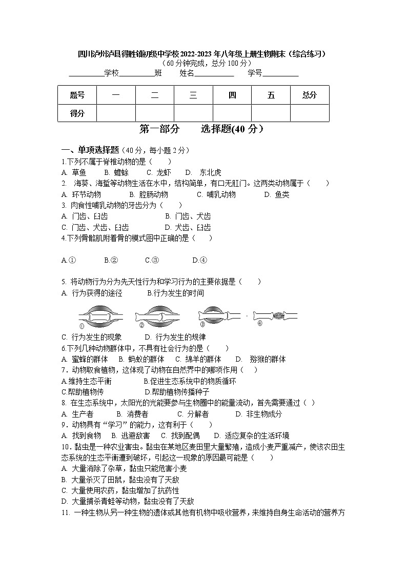 四川泸州泸县得胜镇初级中学校2022-2023学年八年级上学期生物期末（综合练习）试题01