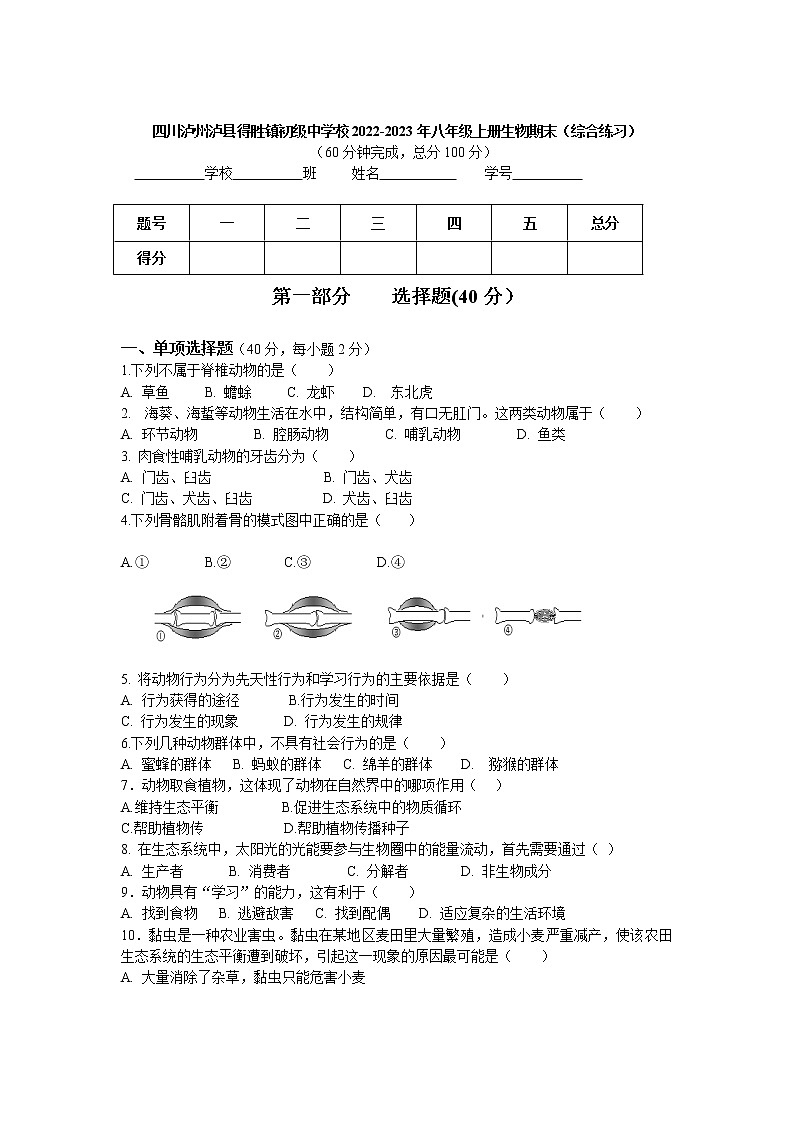 四川泸州泸县得胜镇初级中学校2022-2023学年八年级上学期生物期末（综合练习）试题(含答案)第1页