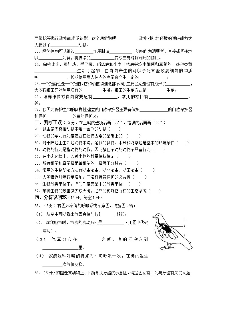 四川泸州泸县得胜镇初级中学校2022-2023学年八年级上学期生物期末（综合练习）试题(含答案)第3页