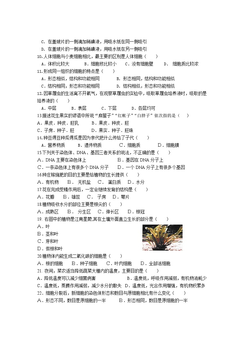 四川泸州泸县得胜镇初级中学校2022-2023年七年级上学期生物期末复习综合练习题(含答案)第2页