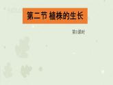 3.2.2植株的生长：第1课时（教学课件）-2022-2023学年人教版生物七年级上册