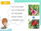 3.2.3开花和结果：第1课时（教学课件）-2022-2023学年人教版生物七年级上册