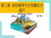 3.3绿色植物与生物圈的水循环：第2课时（教学课件）2022-2023学年人教版生物七年级上册