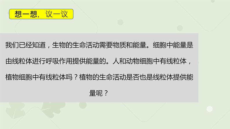 3.5.2绿色植物的呼吸作用（教学课件）-2022-2023学年人教版生物七年级上册第3页