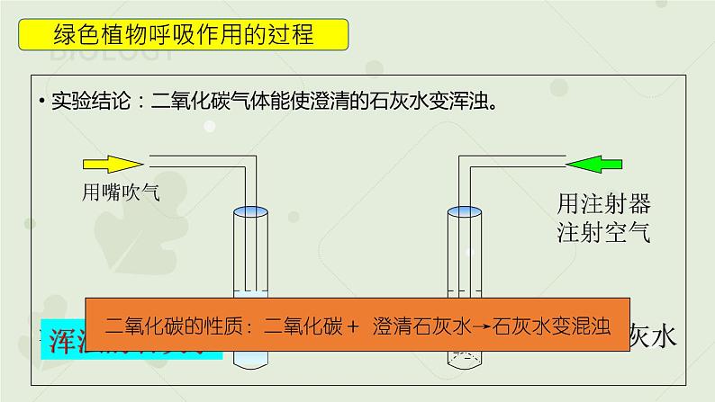 3.5.2绿色植物的呼吸作用（教学课件）-2022-2023学年人教版生物七年级上册第6页