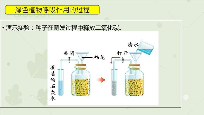 3.5.2绿色植物的呼吸作用（教学课件）-2022-2023学年人教版生物七年级上册第7页