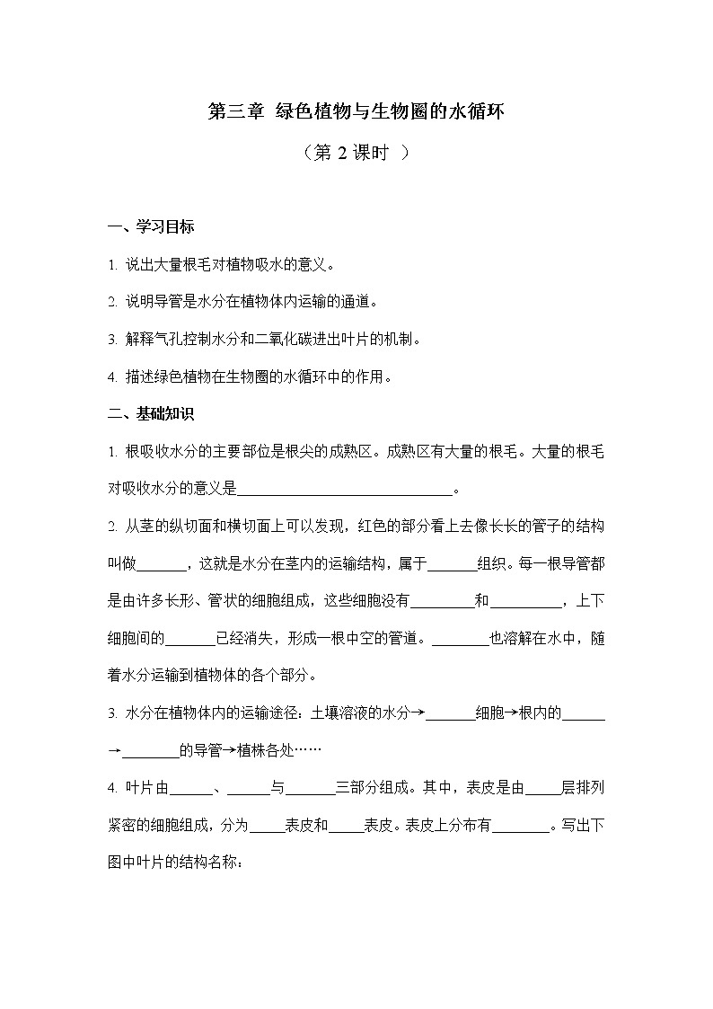 3.3绿色植物与生物圈的水循环：第2课时（学案）-2022-2023学年人教版生物七年级上册01