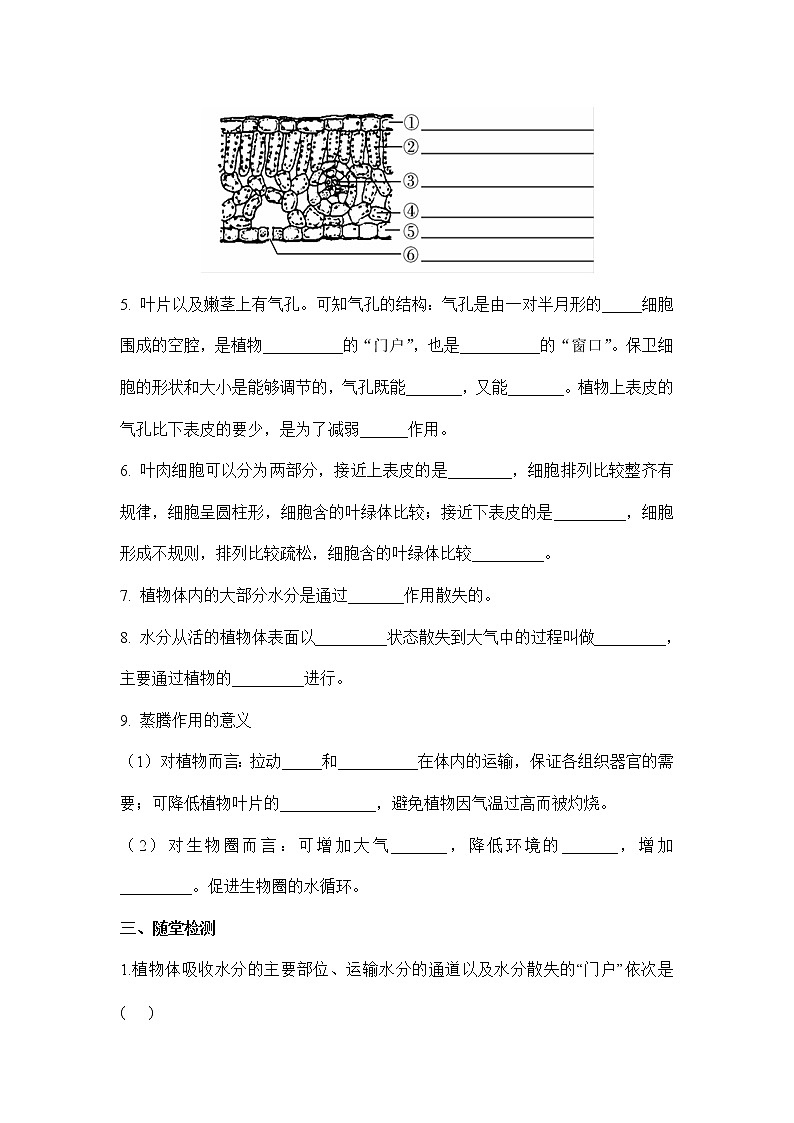 3.3绿色植物与生物圈的水循环：第2课时（学案）-2022-2023学年人教版生物七年级上册02